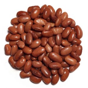 Pinto Beans
